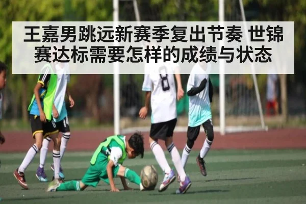 王嘉男跳远新赛季复出节奏 世锦赛达标需要怎样的成绩与状态 | kaiyun